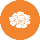 鄉(xiāng)鎮(zhèn)動(dòng)態(tài)